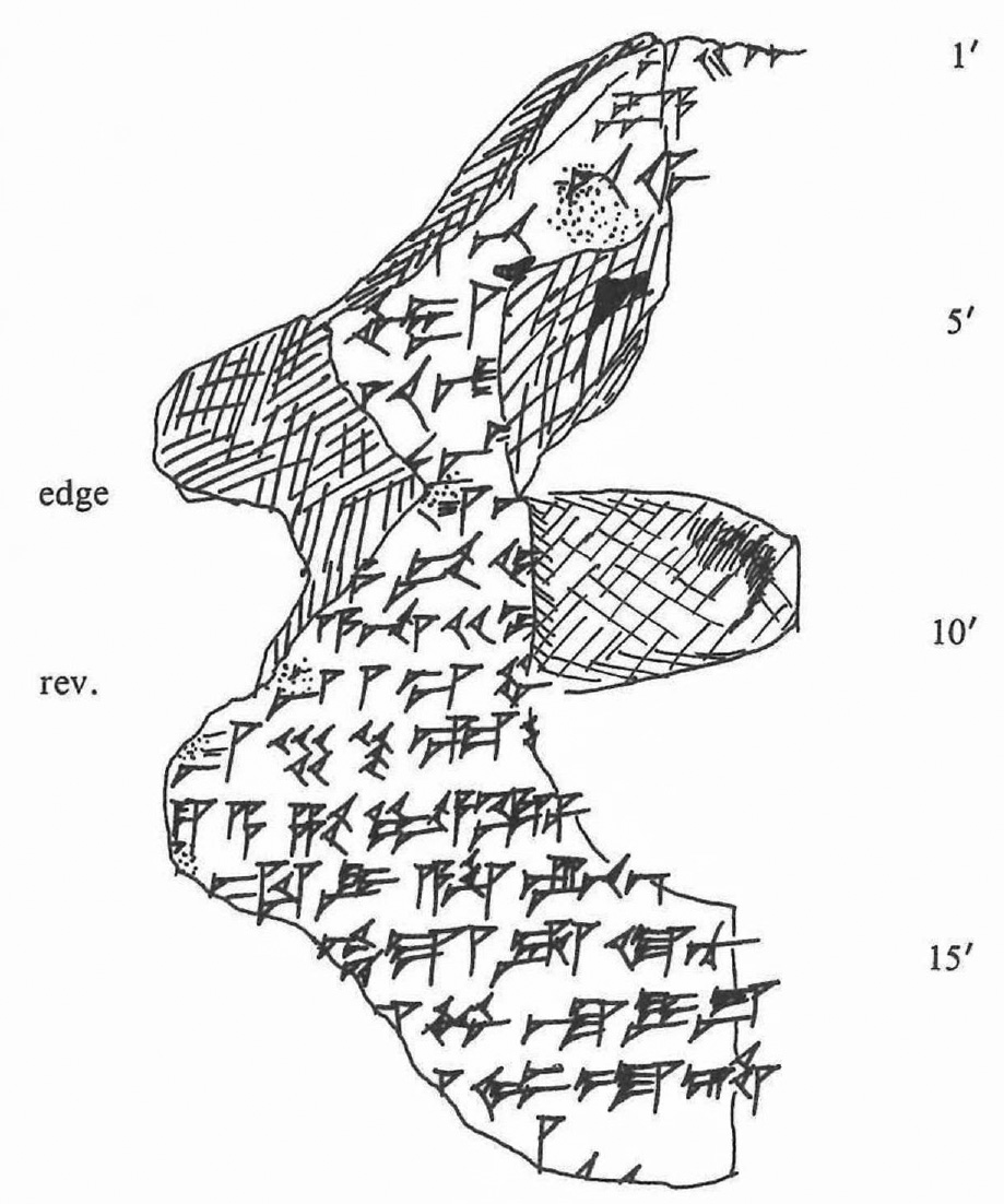 Handcopy by Akio Tsukimoto