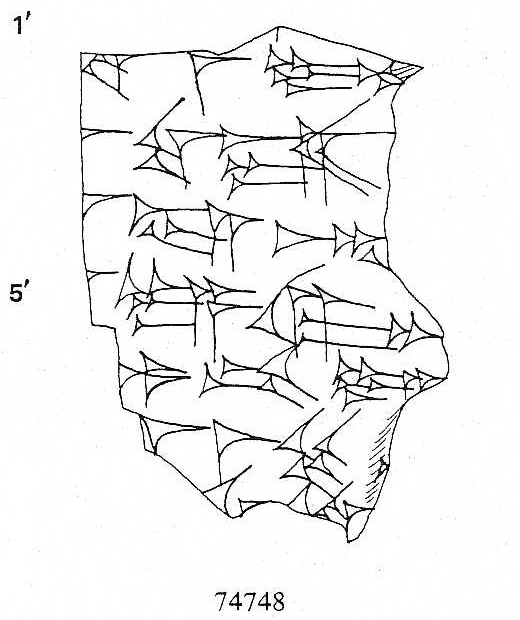 Handcopy by Daniel Arnaud