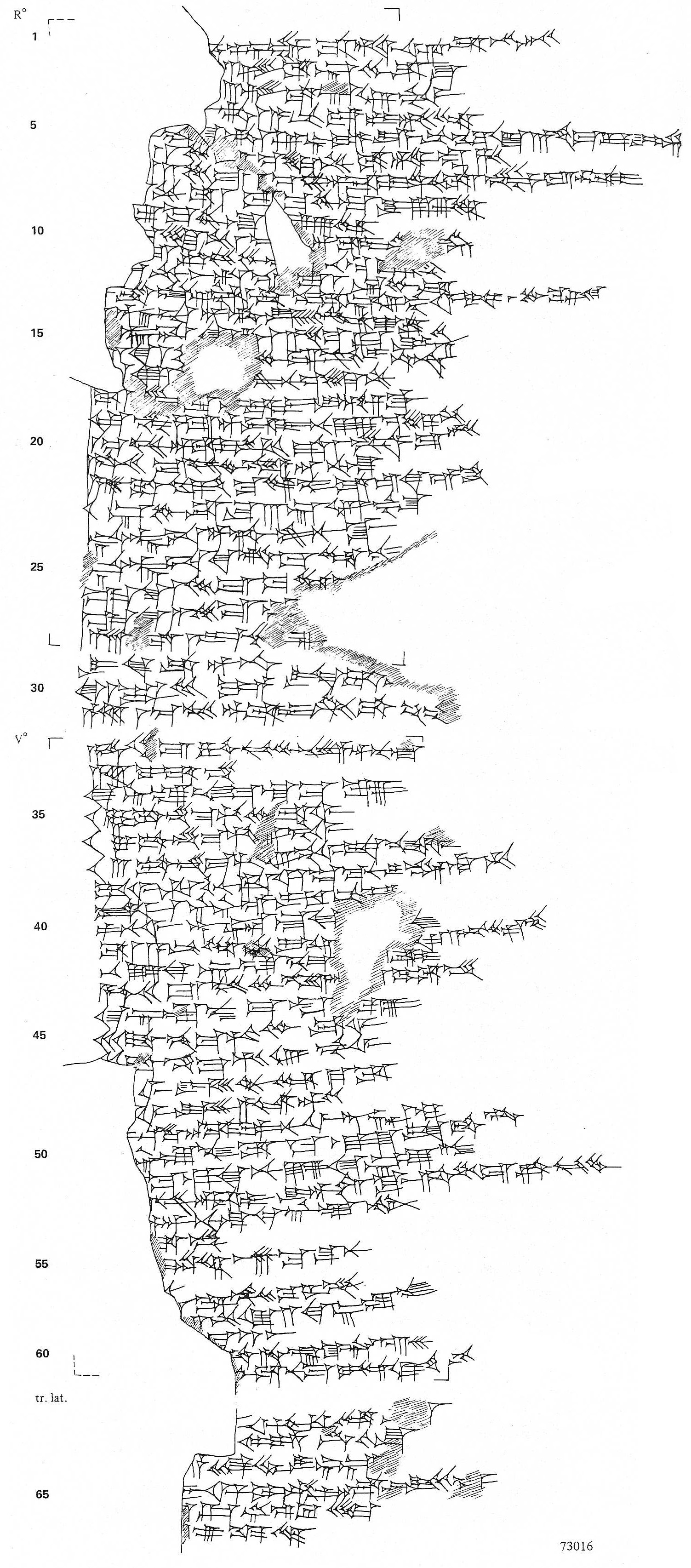 Handcopy by Daniel Arnaud